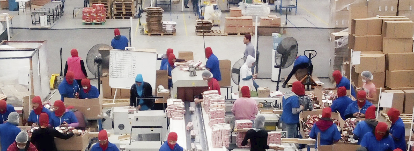 INTEGRACIÓN DE EMPAQUE